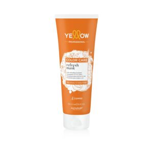 COLOR CARE Pigmentierte Maske .4 250 ml