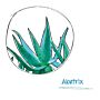 Matte Moulding Paste mit Aloe Vera & Weizenprotein